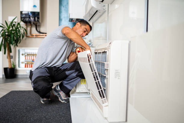 Best Local Air Duct Cleaning Services  in Clio, MI