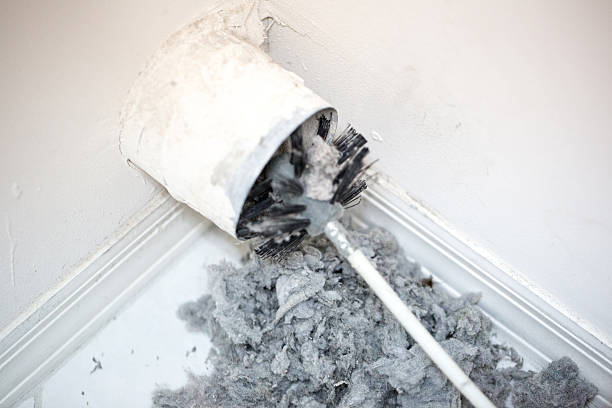 Best Ventilation Cleaning Services  in Clio, MI